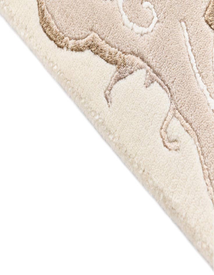 Detail image of 3' 10 x 5' 11 Darya Rug