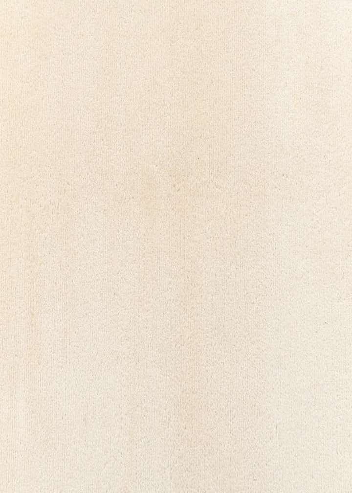 4' 4 x 6' 2 Darya Rug