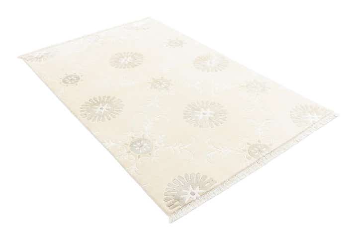 3' 10 x 6' Darya Rug