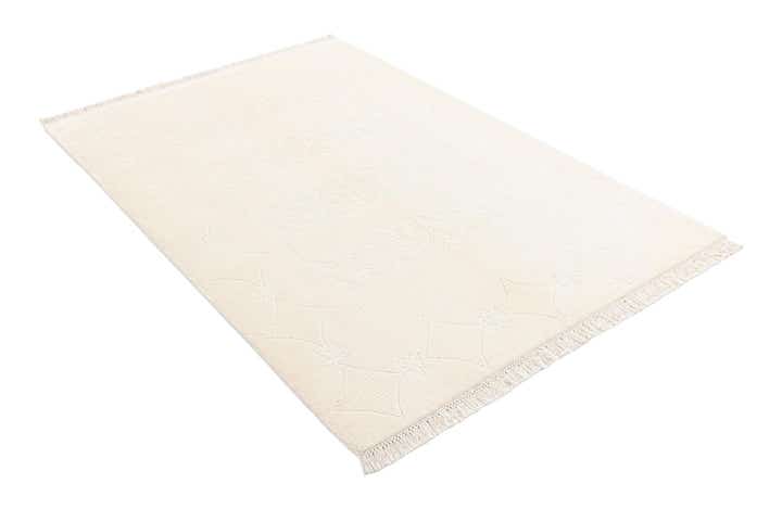 4' x 6' 1 Darya Rug