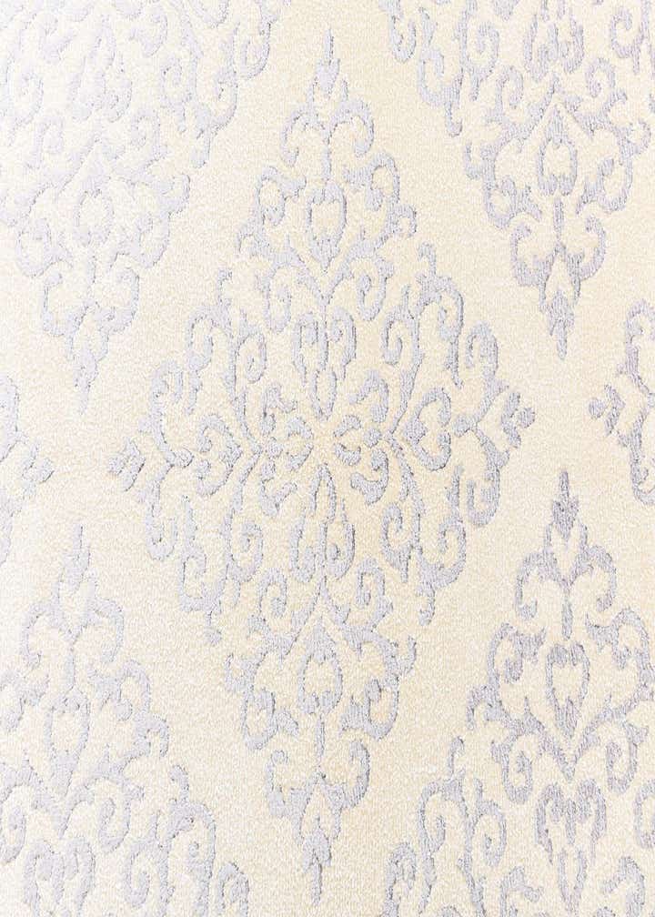4' x 6' 2 Darya Rug
