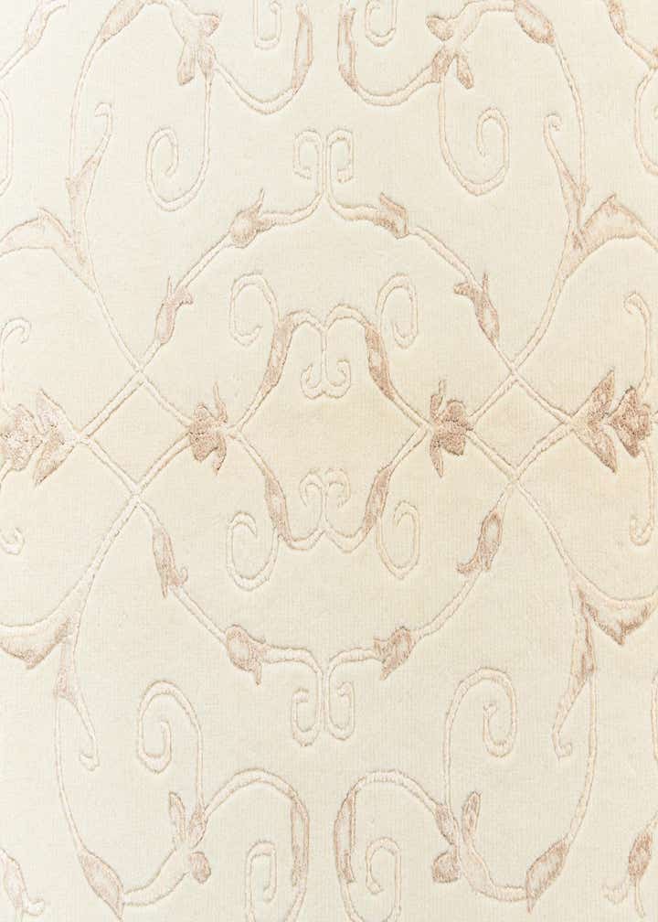 4' x 5' 10 Darya Rug