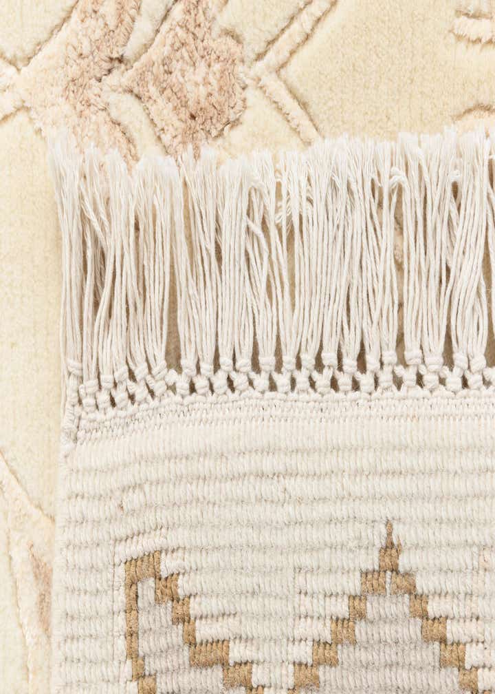 4' x 5' 10 Darya Rug