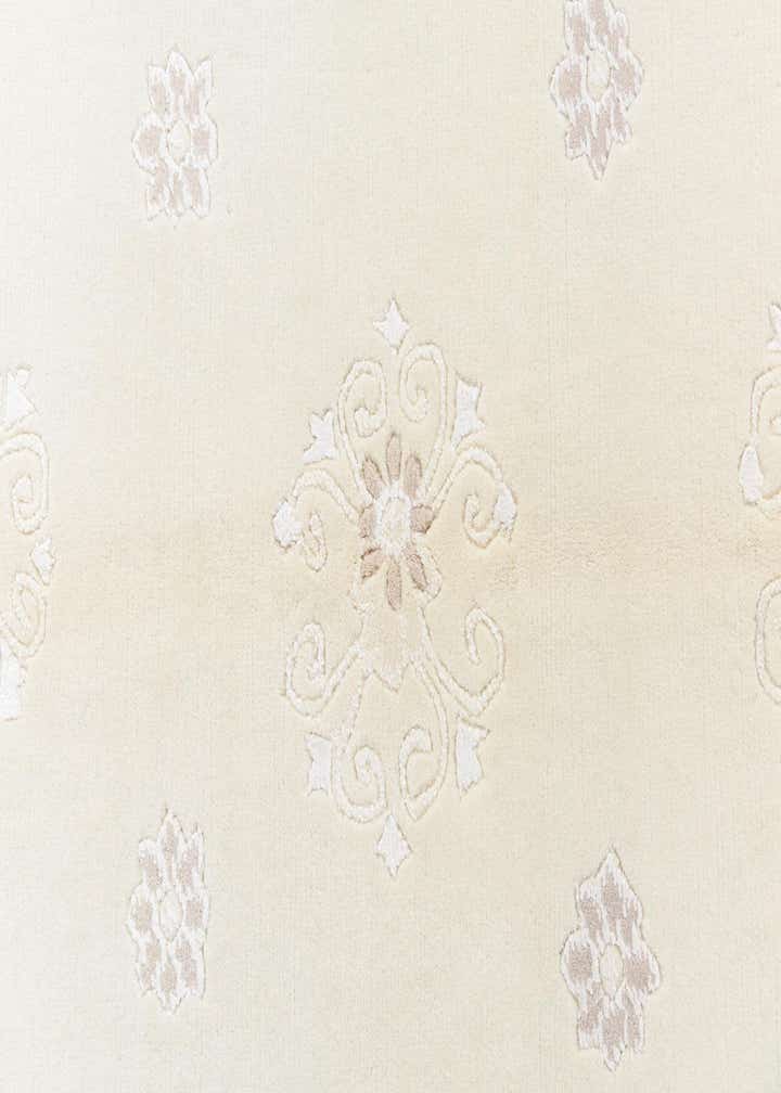 4' x 6' Darya Rug