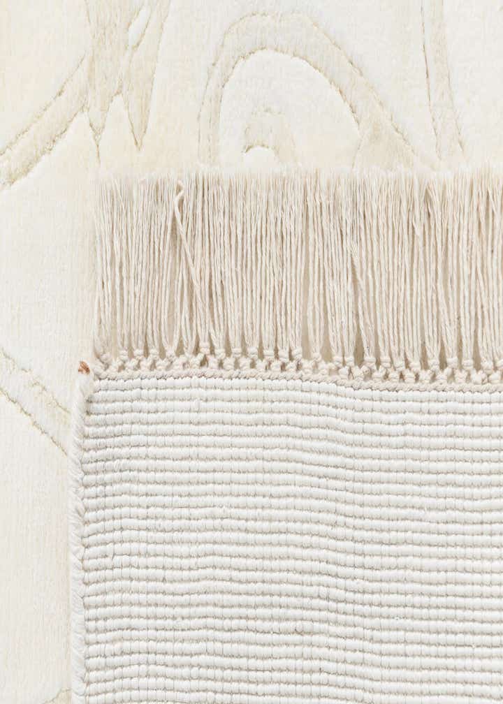 3' 11 x 5' 11 Darya Rug