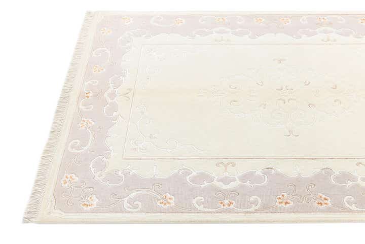 3' 11 x 6' 3 Darya Rug