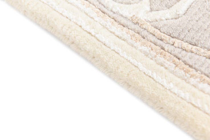 Detail image of 3' 11 x 6' 3 Darya Rug