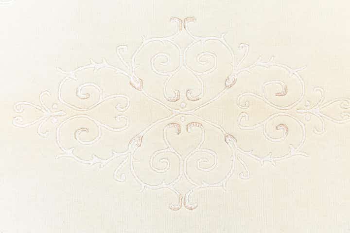 3' 11 x 6' 3 Darya Rug