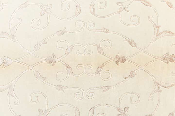 4' x 6' Darya Rug