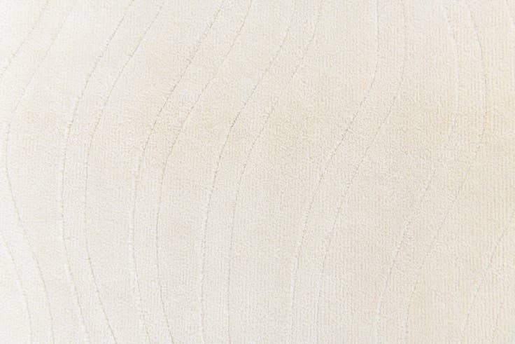 Detail image of 4' x 5' 11 Darya Rug