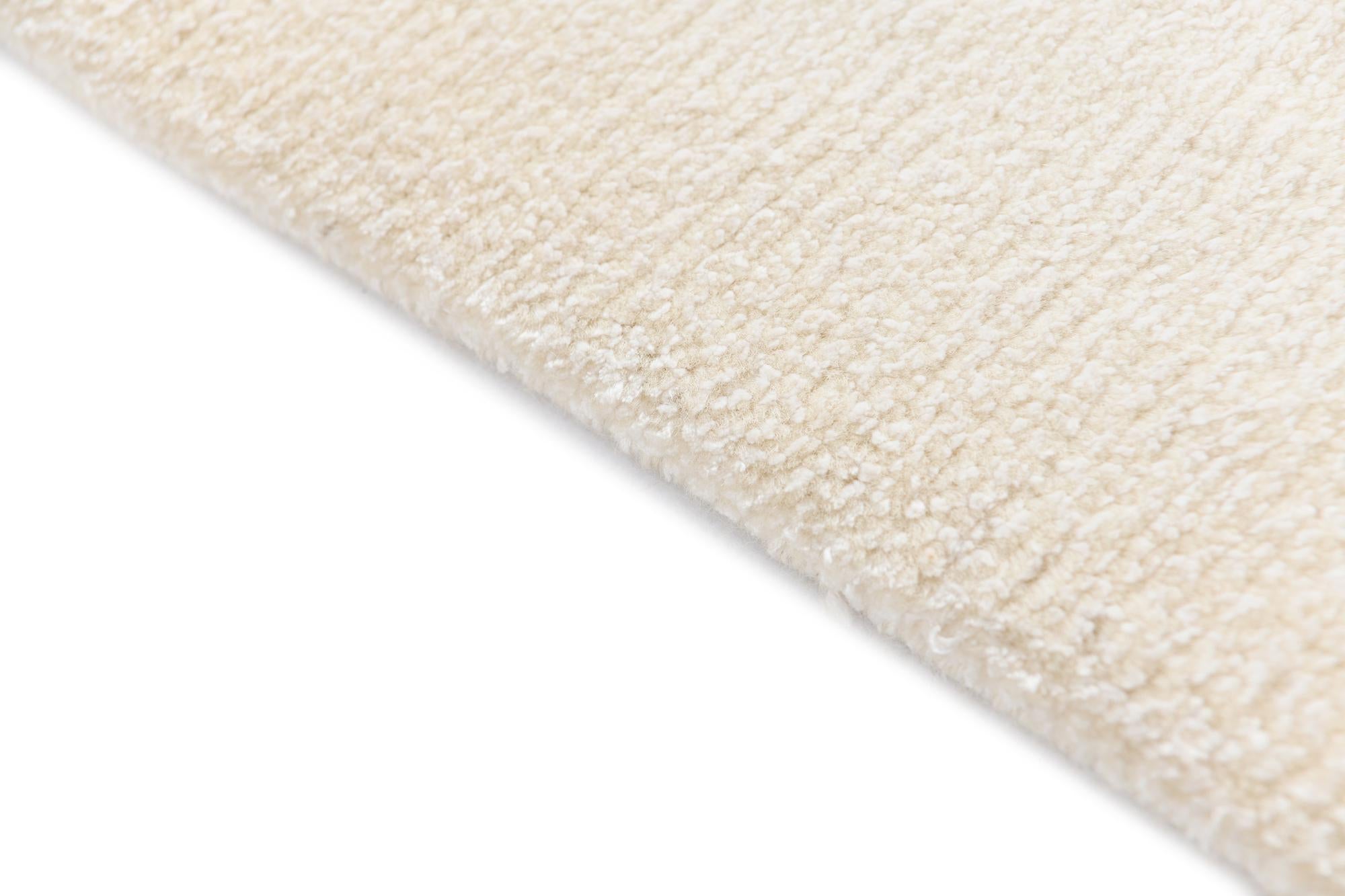 4' 1 x 6' 3 Darya Rug