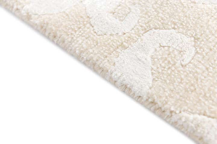 4' x 6' Darya Rug
