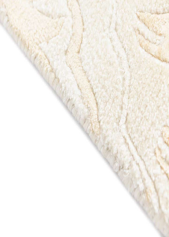 4' x 6' Darya Rug