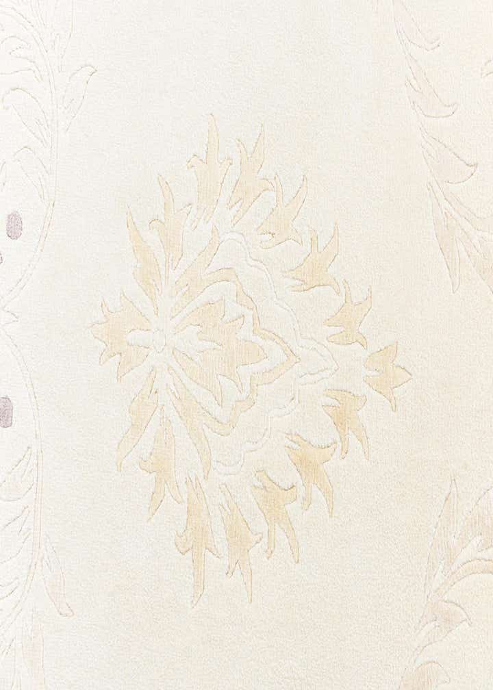 4' x 6' Darya Rug