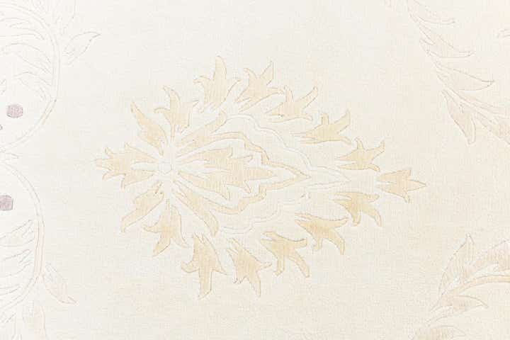 4' x 6' Darya Rug