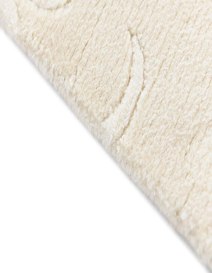 Detail image of 4' x 6' 1 Darya Rug