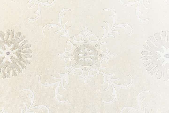 4' x 6' 1 Darya Rug