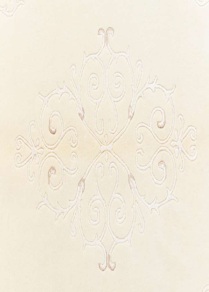 4' x 5' 11 Darya Rug