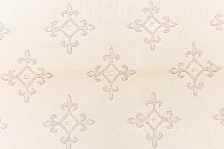 4' x 6' Darya Rug