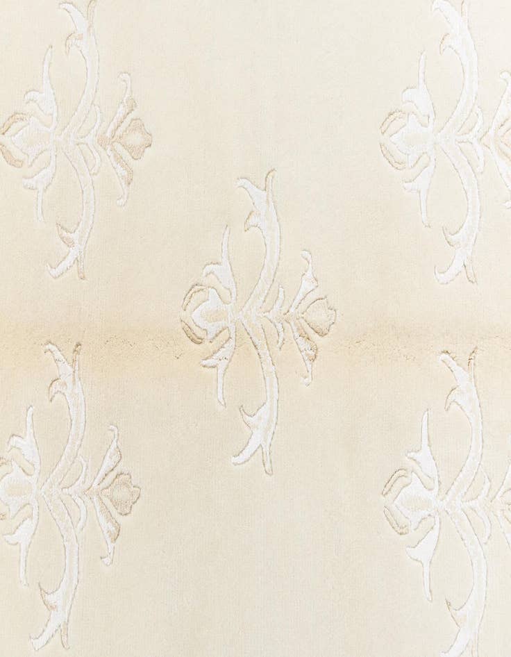 Detail image of 4' x 6' 2 Darya Rug