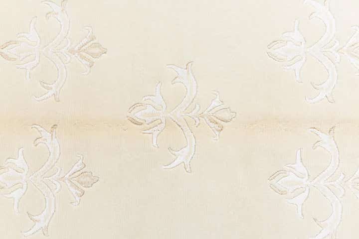 4' x 6' 2 Darya Rug