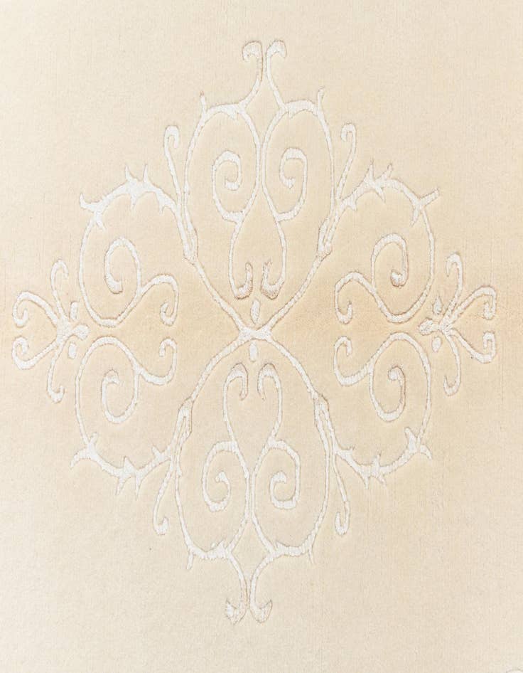 Detail image of 4' x 5' 11 Darya Rug