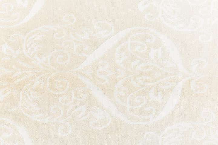 4' 1 x 6' 2 Darya Rug