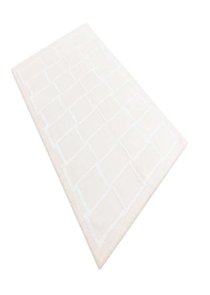 3' 11 x 6' Darya Rug