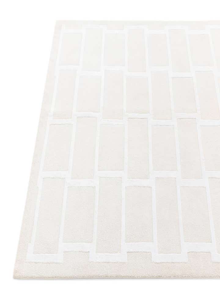 3' 11 x 6' Darya Rug