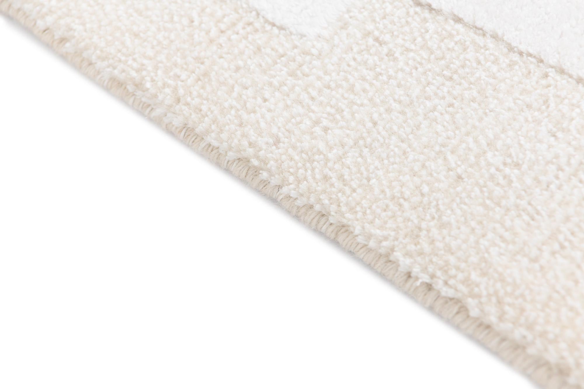 3' 11 x 6' Darya Rug