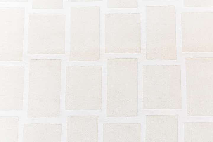 3' 11 x 6' Darya Rug