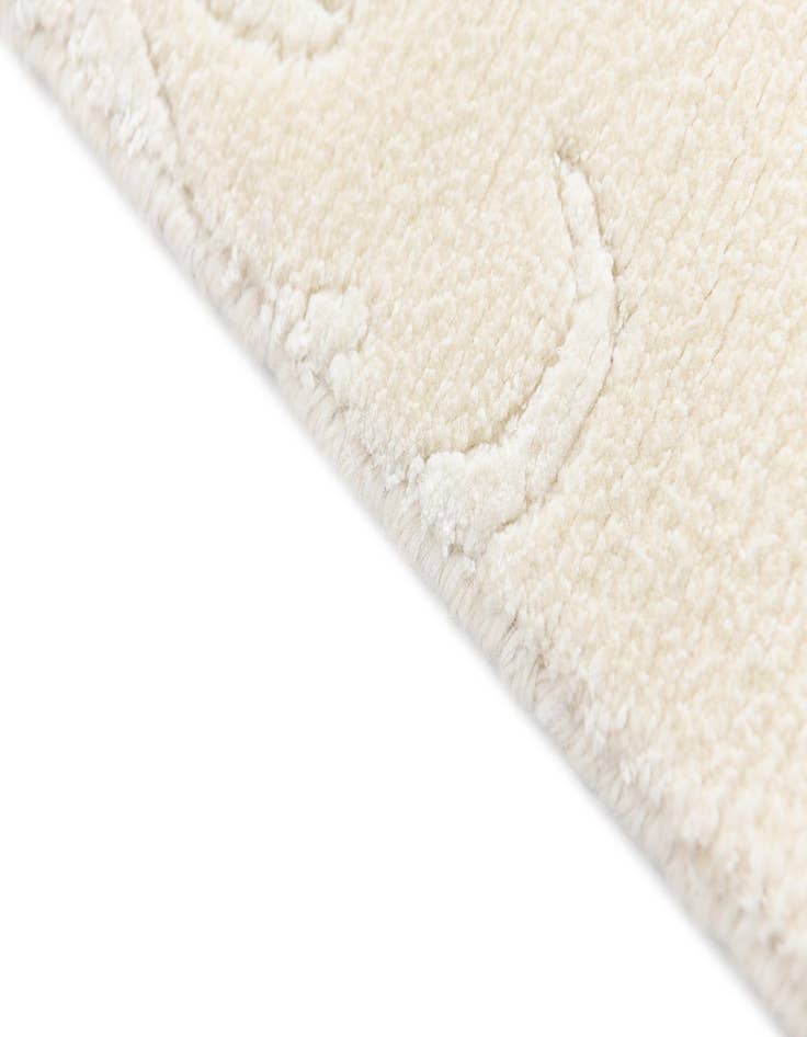 Detail image of 3' 11 x 6' Darya Rug