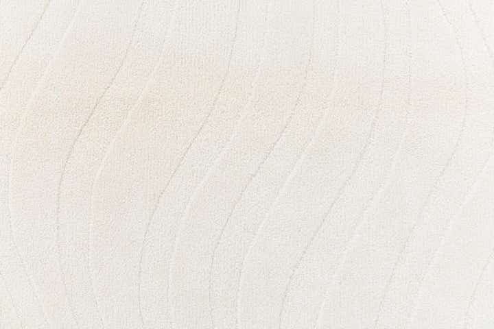 3' 11 x 5' 10 Darya Rug