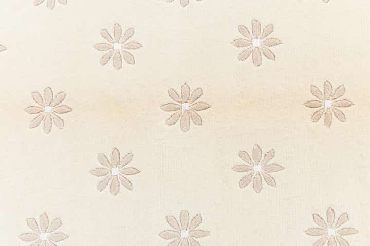 4' 1 x 5' 11 Darya Rug