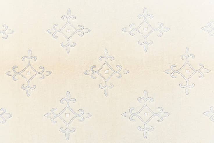 Detail image of 4' x 5' 11 Darya Rug