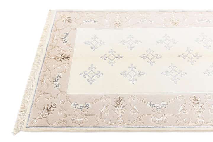 3' 11 x 5' 10 Darya Rug