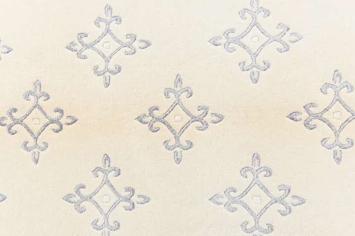 3' 11 x 5' 10 Darya Rug