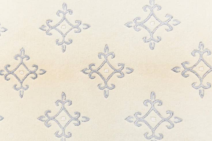 Detail image of 3' 11 x 5' 10 Darya Rug