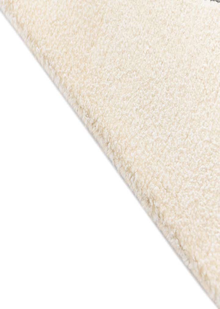 3' 11 x 6' Darya Rug