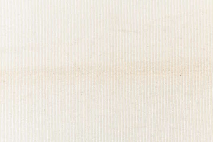 4' 1 x 6' 1 Darya Rug