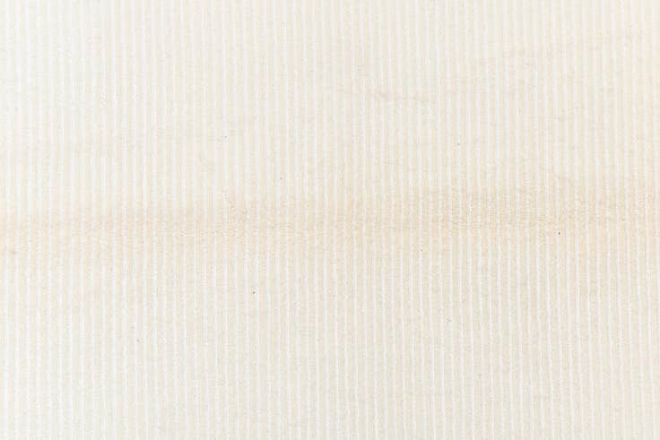 Detail image of 4' 1 x 6' 1 Darya Rug