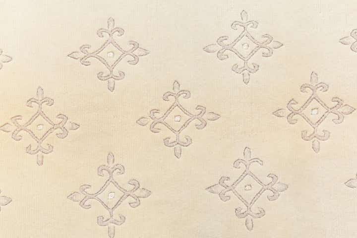 4' x 6' Darya Rug