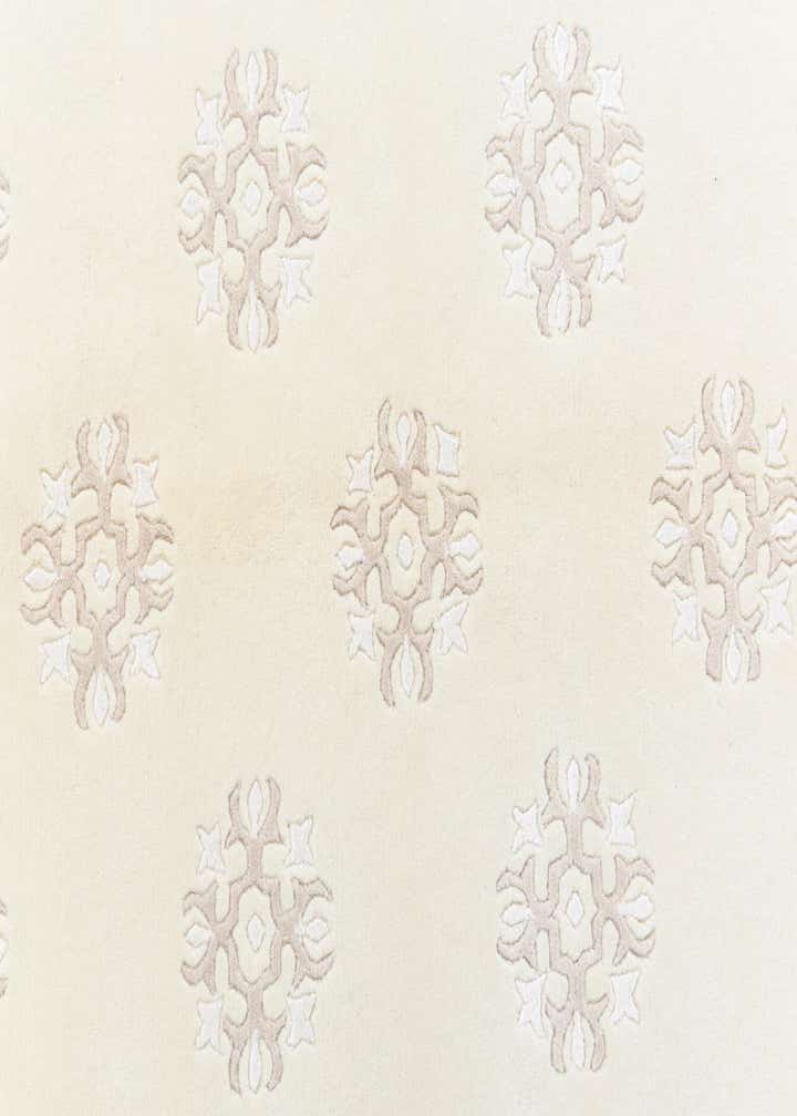4' x 5' 9 Darya Rug