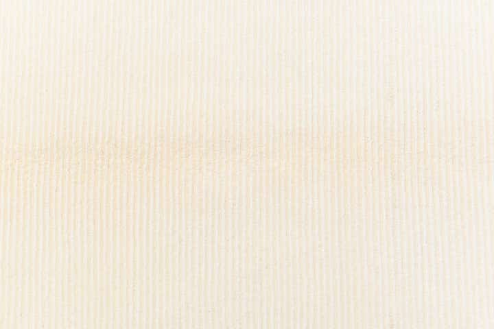 4' x 6' 1 Darya Rug
