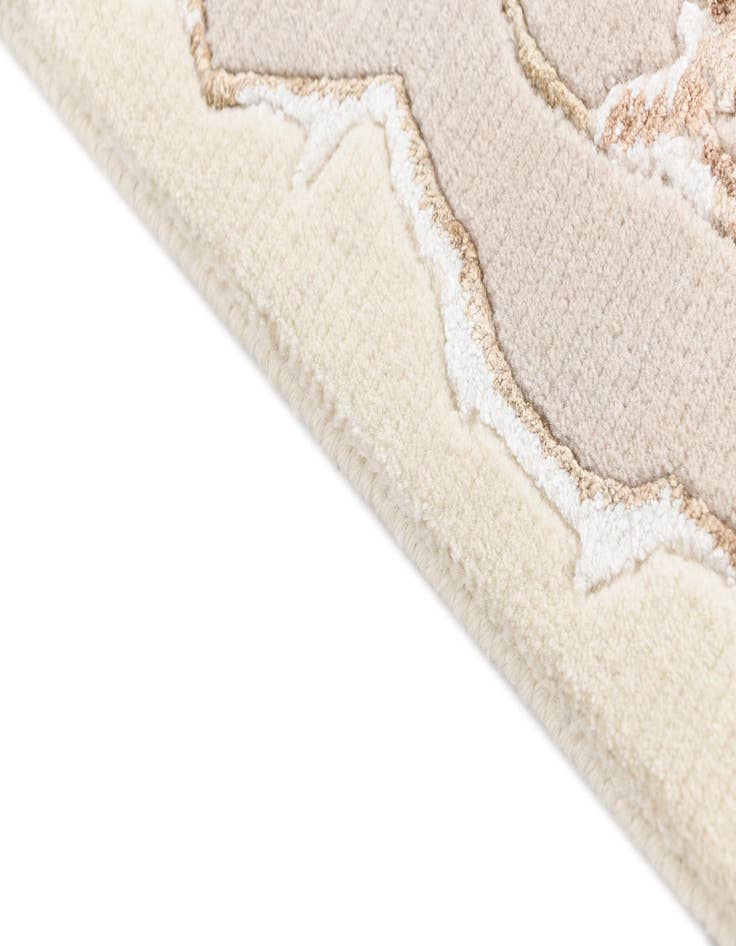 Detail image of 4' x 5' 11 Darya Rug