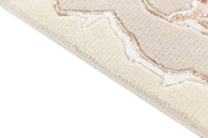 4' x 5' 11 Darya Rug