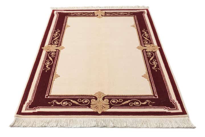 4' x 6' Darya Rug