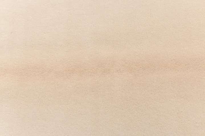 4' x 6' Darya Rug