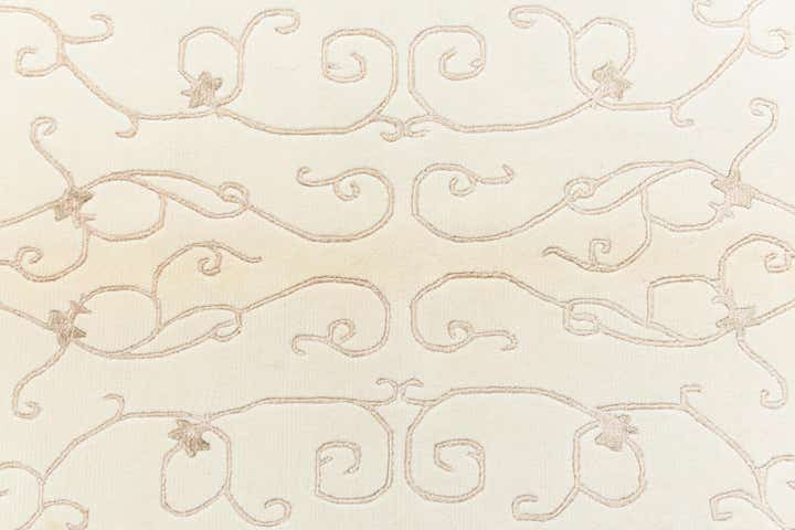 4' x 6' Darya Rug