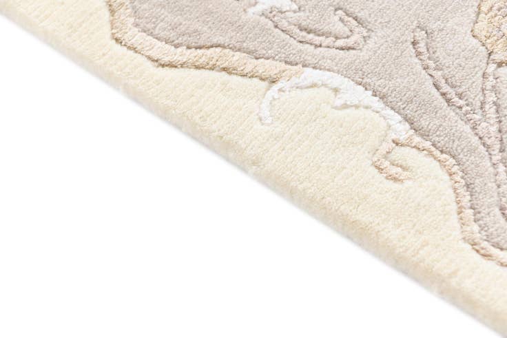 Detail image of 4' x 5' 11 Darya Rug